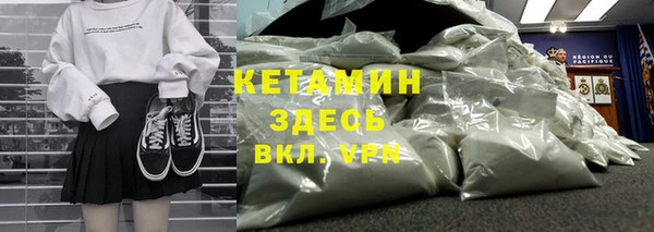 прущие грибы Балабаново