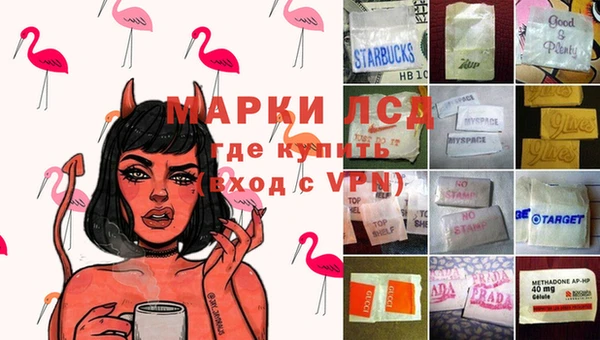 прущие грибы Балабаново