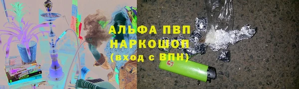 прущие грибы Балабаново