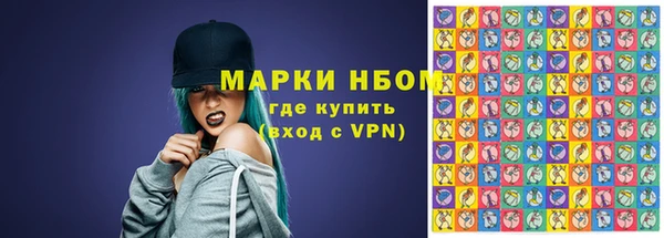 прущие грибы Балабаново