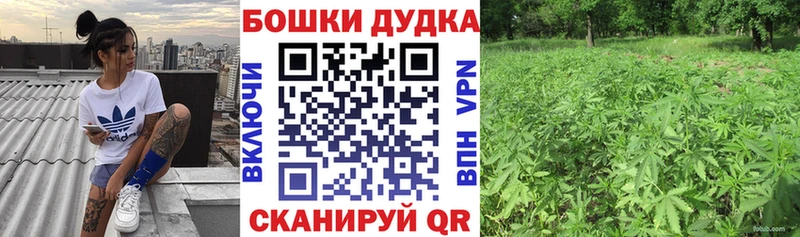 Каннабис MAZAR  Севск 